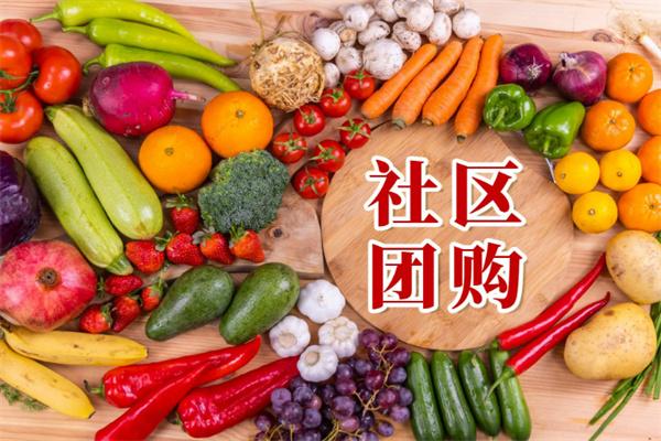 鄰尋社區(qū)團(tuán)購加盟
