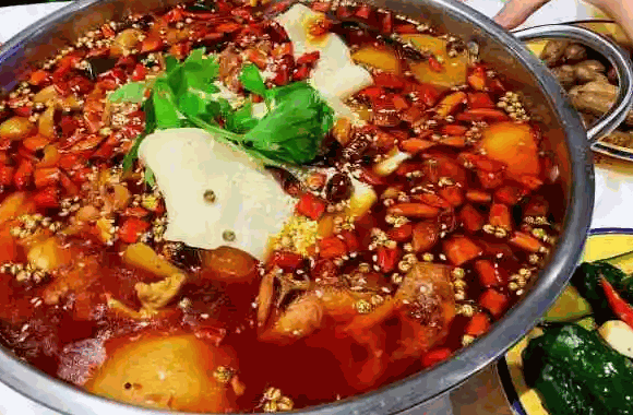 肥腸雞火鍋