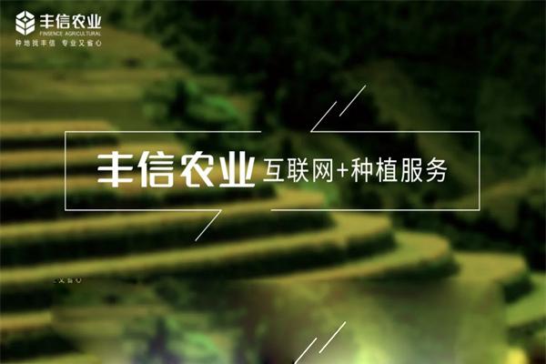 豐信農(nóng)業(yè)加盟