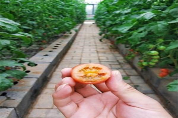 眾口菜糧加盟