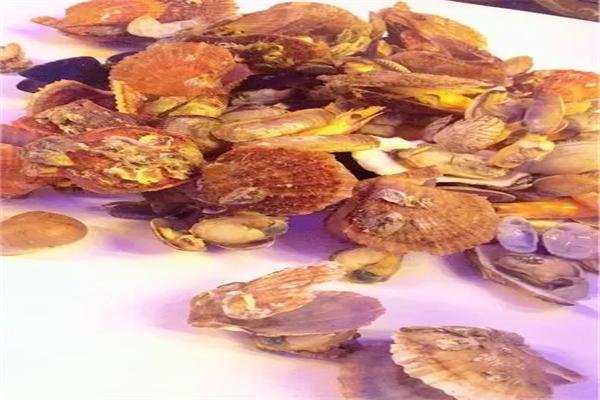 嗨貝海鮮吃貨俱樂部加盟