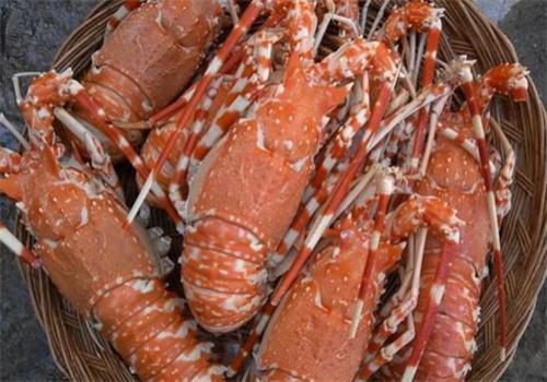 蝦宴·泰國活蝦料理加盟