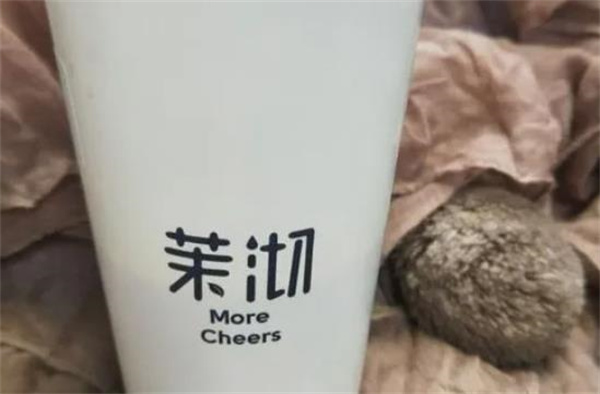 茉沏奶茶