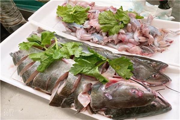 城記蛙秘書麻椒魚加盟