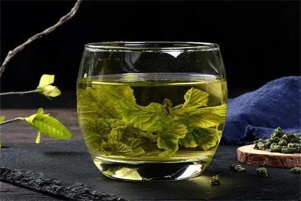 桑葉茶加盟