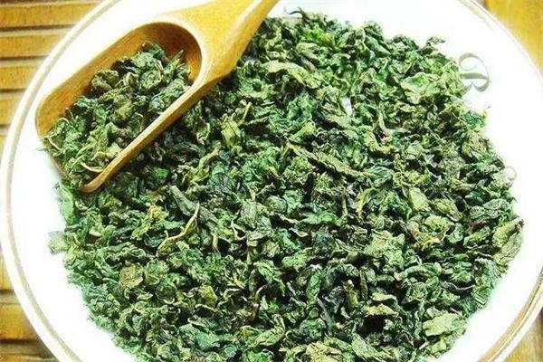 桑葉茶加盟