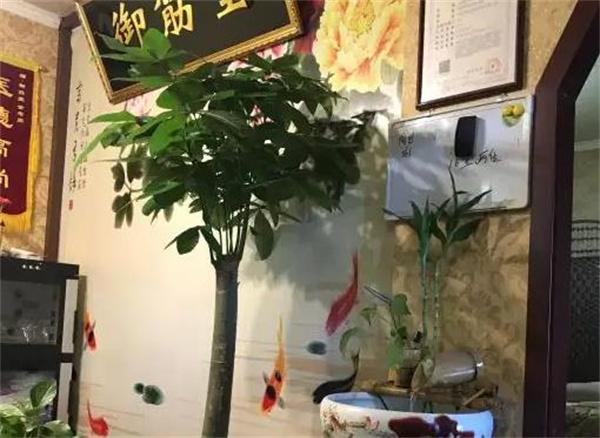 苗韻竹蓀鵝餐飲