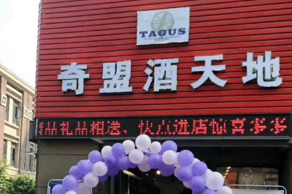 奇盟酒天地怎么