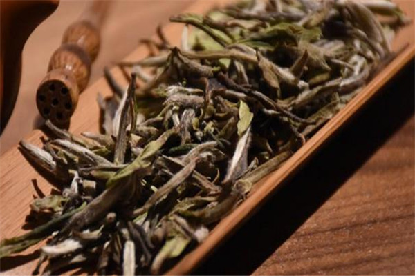 溢鼎春茶業(yè)加盟