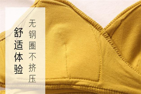 藍(lán)馨內(nèi)衣加盟