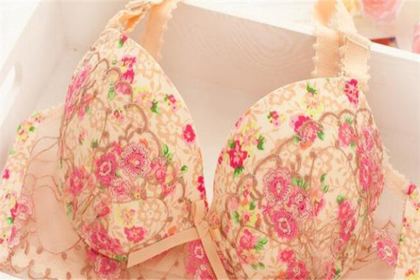 velvet內(nèi)衣加盟