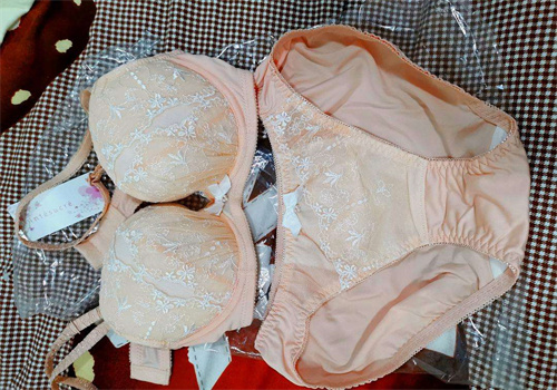 安秀麗內(nèi)衣加盟