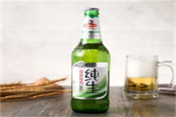 嘉禾純生啤酒加盟