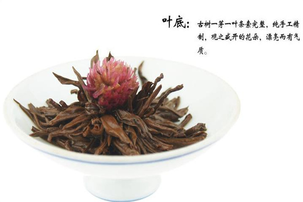 蘭馨茶業(yè)