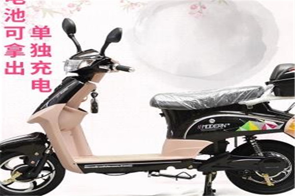 君一寶王電動車
