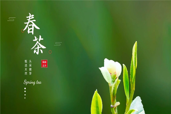 獅峰茶葉加盟