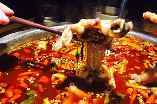 小凼凼魚蛙館加盟