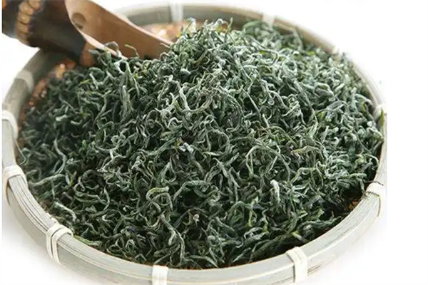 黃金藻茶方加盟