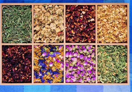 崇藥堂花茶加盟