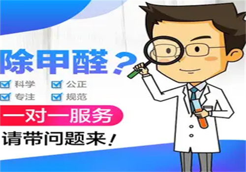 黛龍除甲醛加盟
