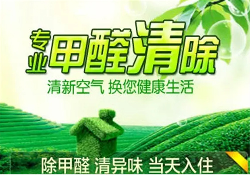 黛龍除甲醛加盟