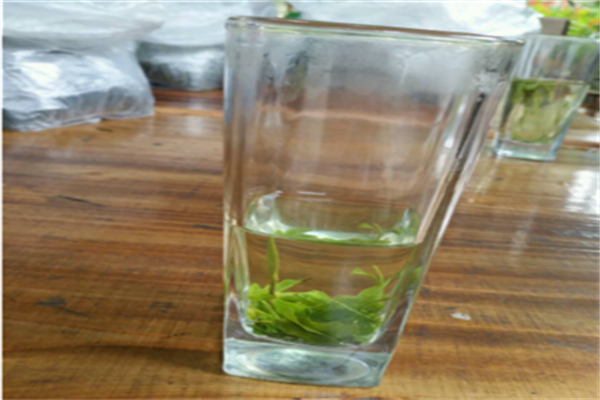 茶者茶業(yè)加盟