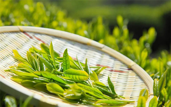 中國(guó)茶葉