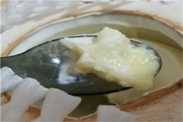 coconut椰爺
