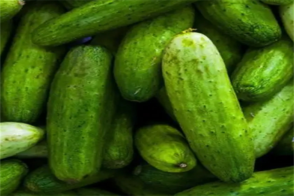 天順瓜菜加盟
