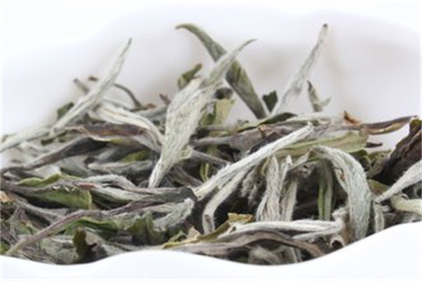東九升白茶加盟