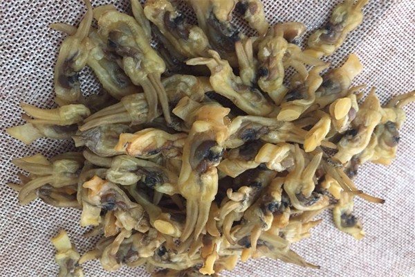陳記滋補(bǔ)干貨行加盟