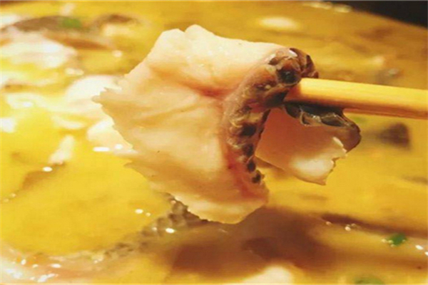河洛魚(yú)莊加盟