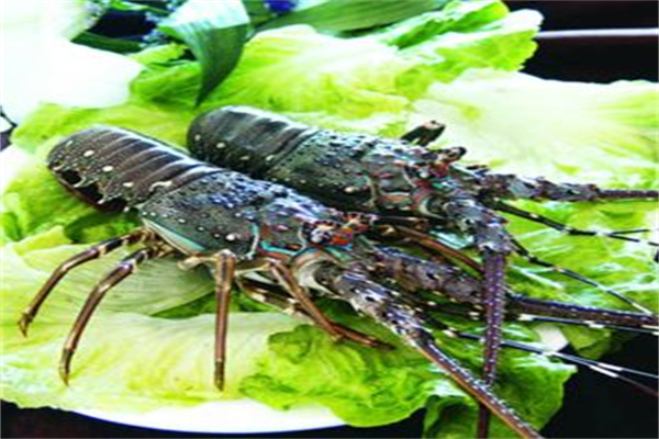 魚蛙龍蝦小酒館加盟