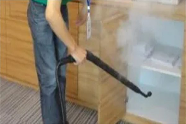 雙仕除甲醛