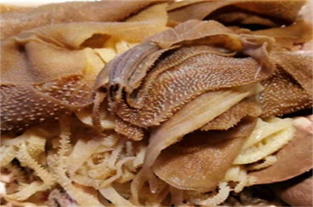 佳味牛雜火鍋