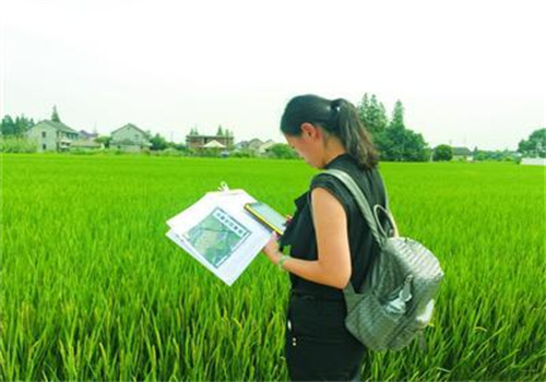 上菜農(nóng)業(yè)加盟
