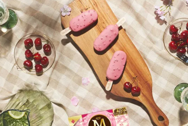 MAGNUM夢龍加盟