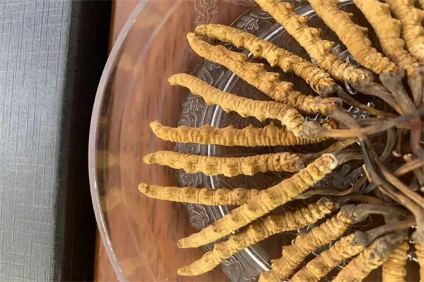 寶王蟲(chóng)草加盟