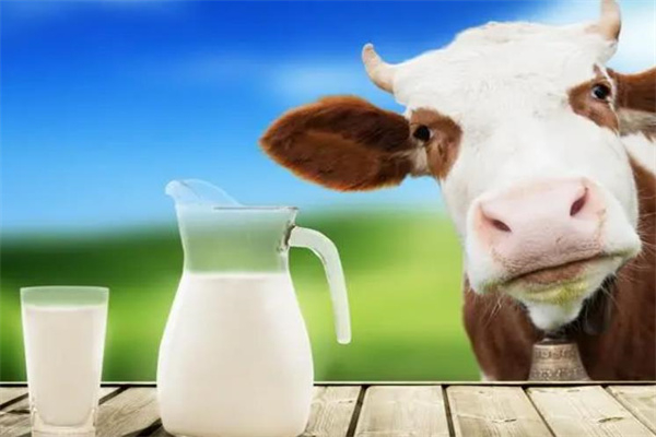 冠宇乳業(yè)加盟