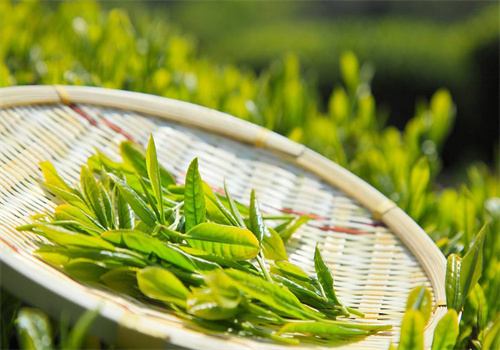 云享茗茶加盟