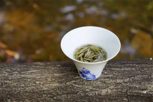 陸語茶室加盟