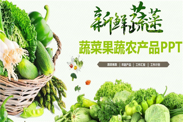 農豐果蔬制品加盟