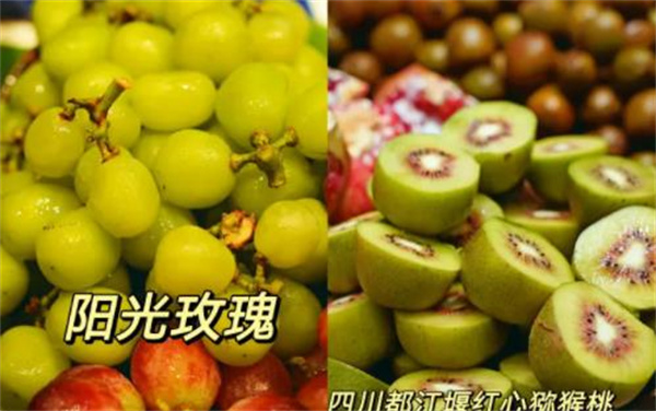 水果課代表