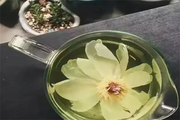 一朵牡丹茶加盟