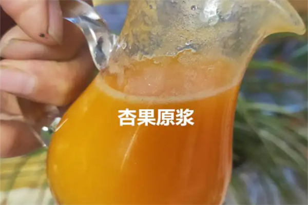 杏子源飲品加盟