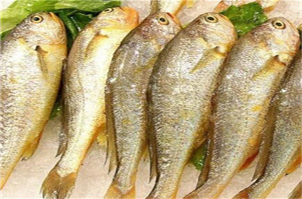 百仔魚鋪