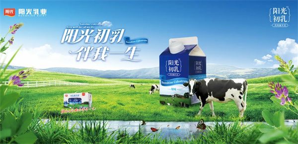 陽光乳業(yè)酸奶