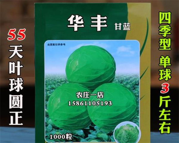 惠民生鮮