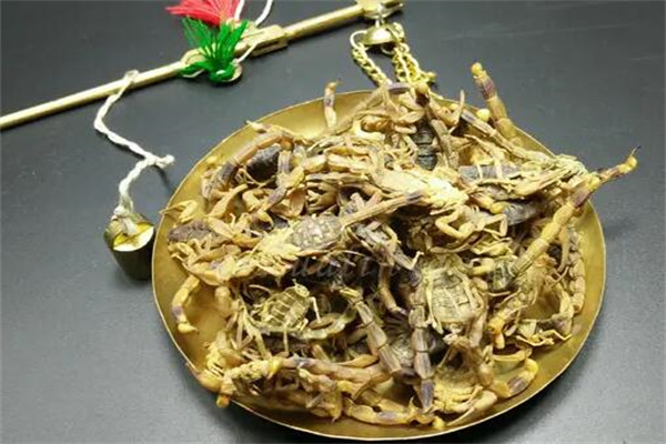華農(nóng)藥王蝎加盟
