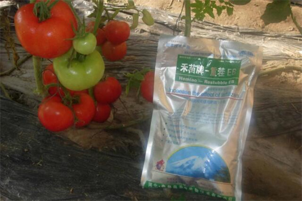 禾苗重茬劑加盟